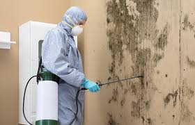 Mold Removal for HVAC Installations in Bottineau, ND